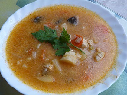 Ragu csirkemellből