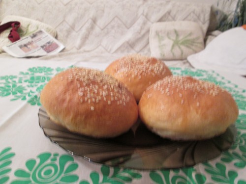 315. Hamburger/hot-dog kifli